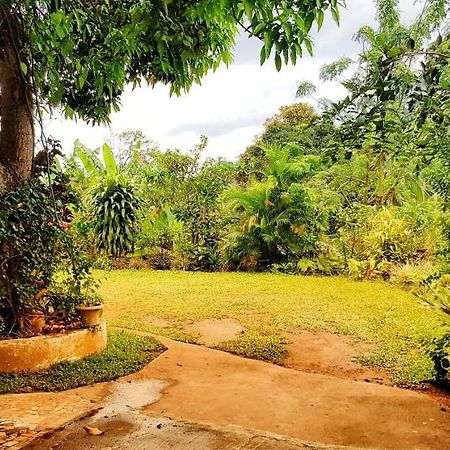 Suisse Villa كاندي المظهر الخارجي الصورة