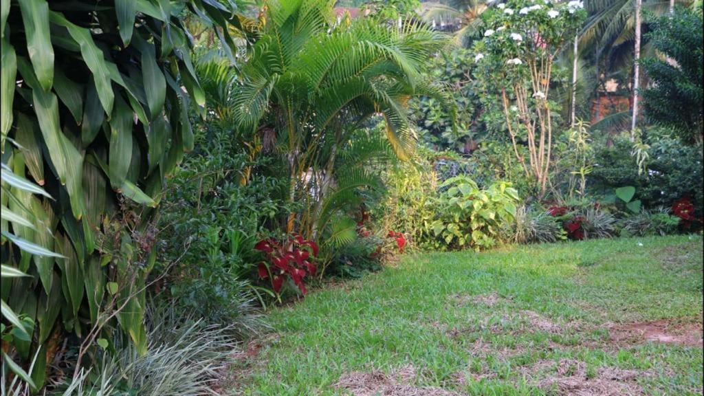 Suisse Villa كاندي المظهر الخارجي الصورة