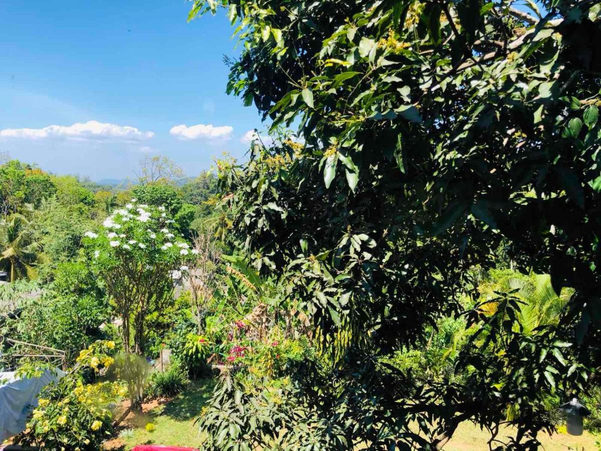 Suisse Villa كاندي المظهر الخارجي الصورة